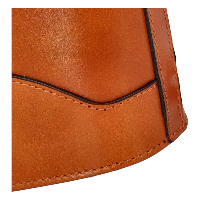 detail Dámská crossbody kabelka Delami HAI 0101101 hnědá